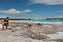 106 Cap le Grand NP, lucky bay